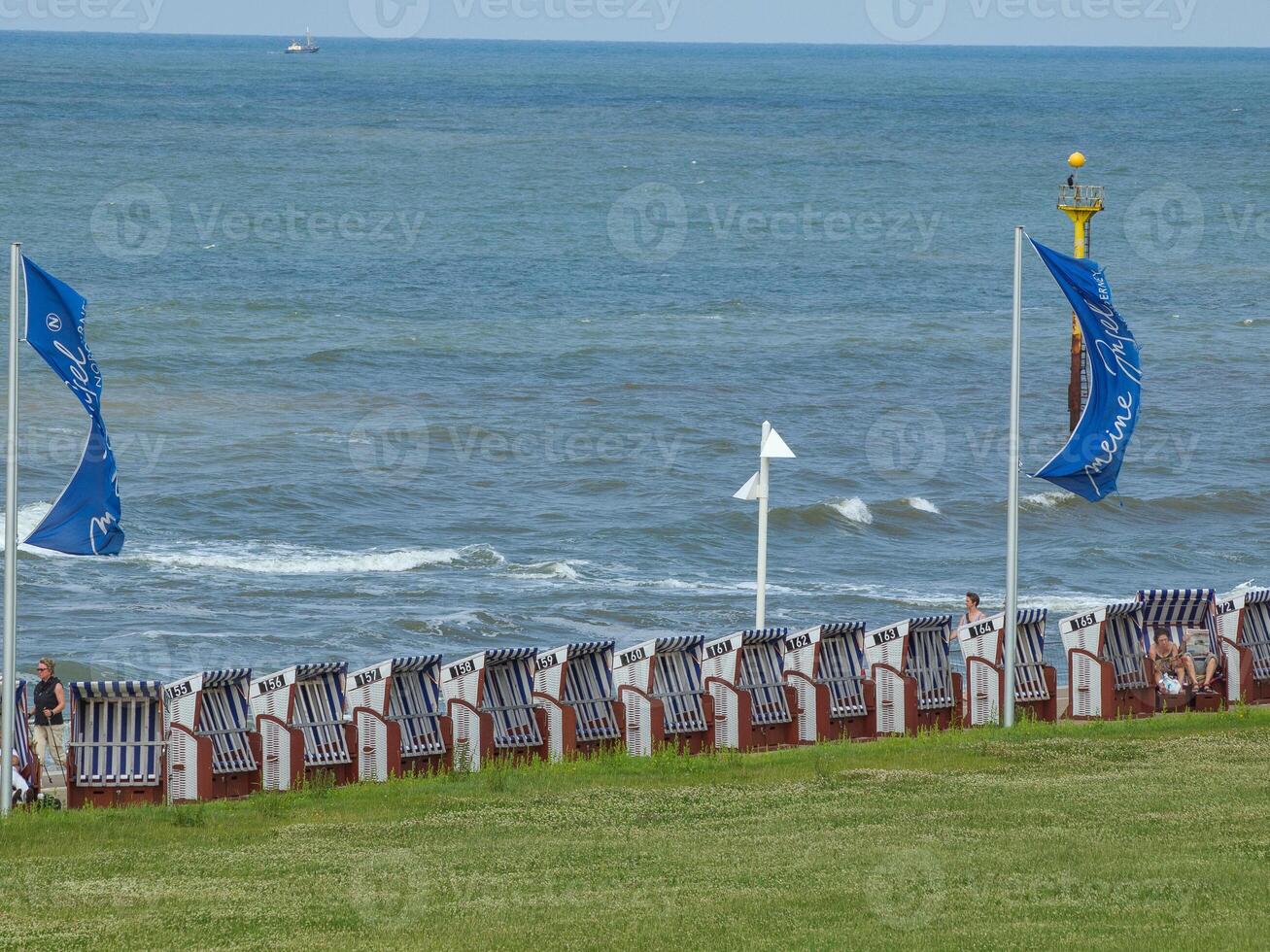 A row of chairs on the beach photo