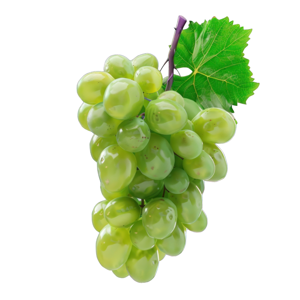 Fresh green grapes png