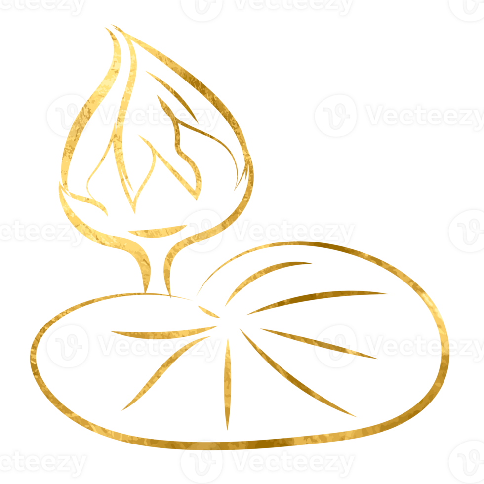 Golden line drawing lily flower. Gold botanical art transparent background . png