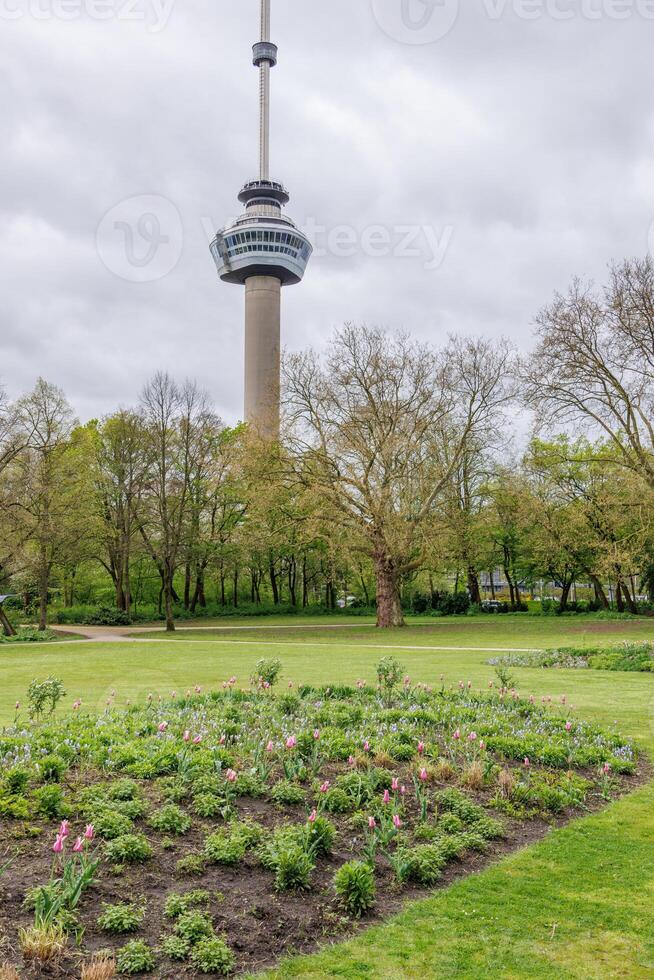 tower in rotterdam photo