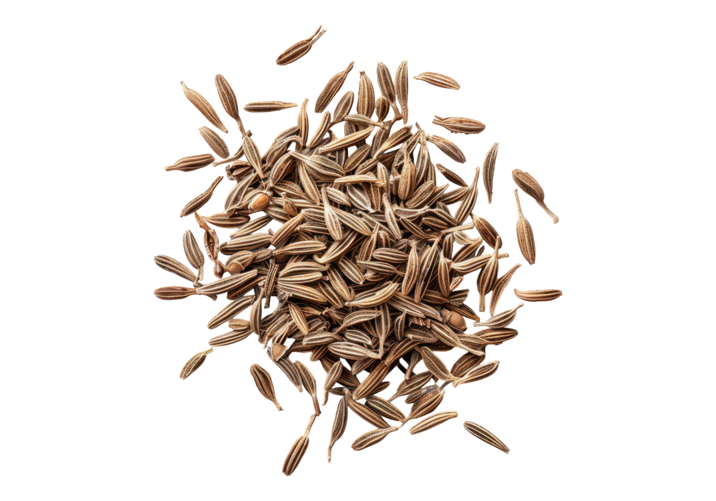 Cumin seeds on a transparent background png