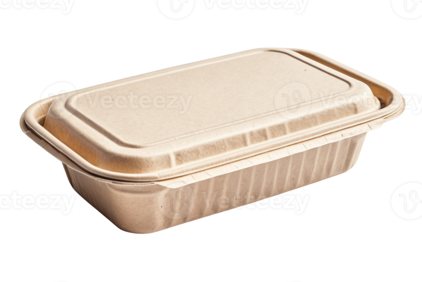 Eco paper tableware food container eco conscious dining png