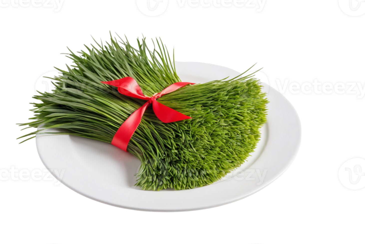 Big Fresh Wheatgrass with Red Ribbon Adds Color png