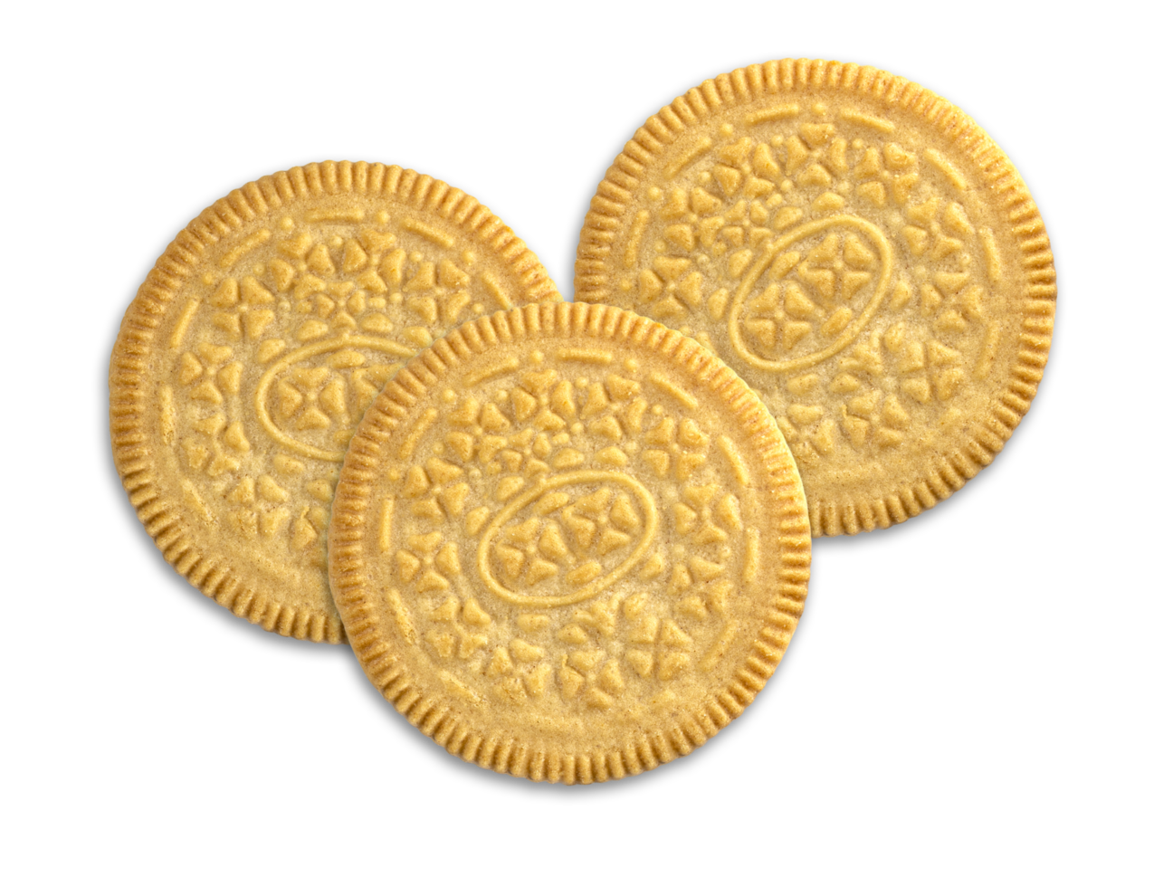 vanilla cookie on transparent background png