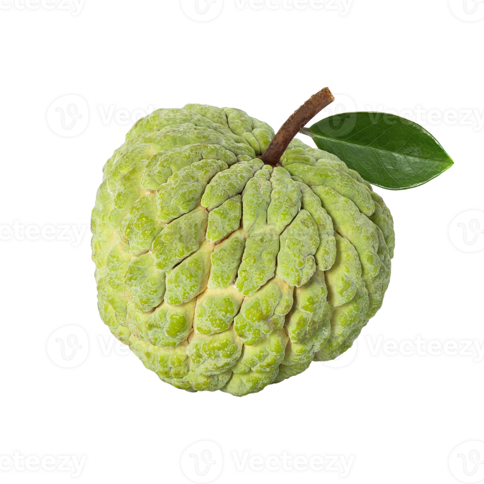 custard apple, cutout, full depth of field png