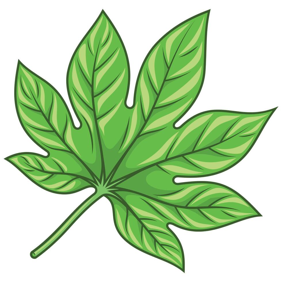 Tropical Plant Leaf for Decoration vector