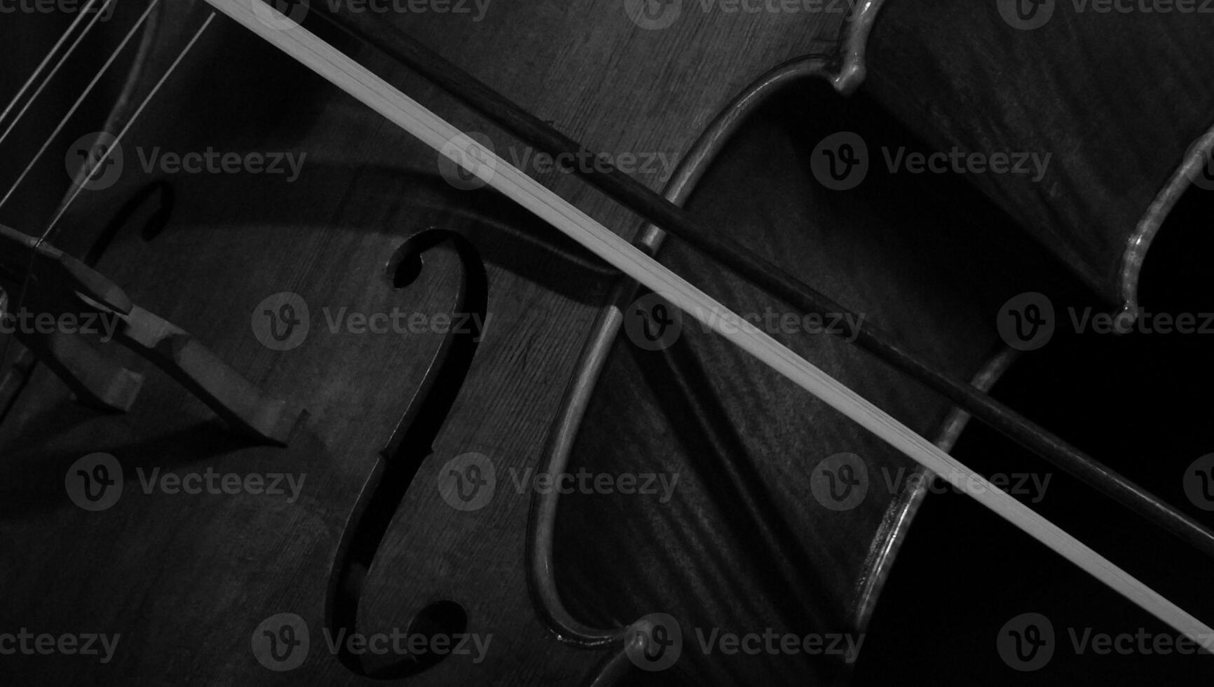 An intimate portrait of a violin and bow. photo
