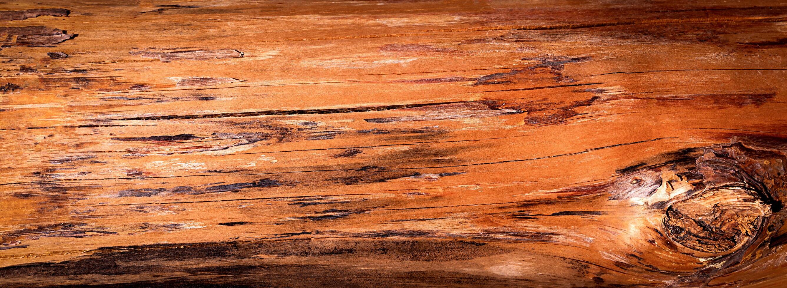 Wood texture. Natural background. Close-up. Top view. Selective focus. photo