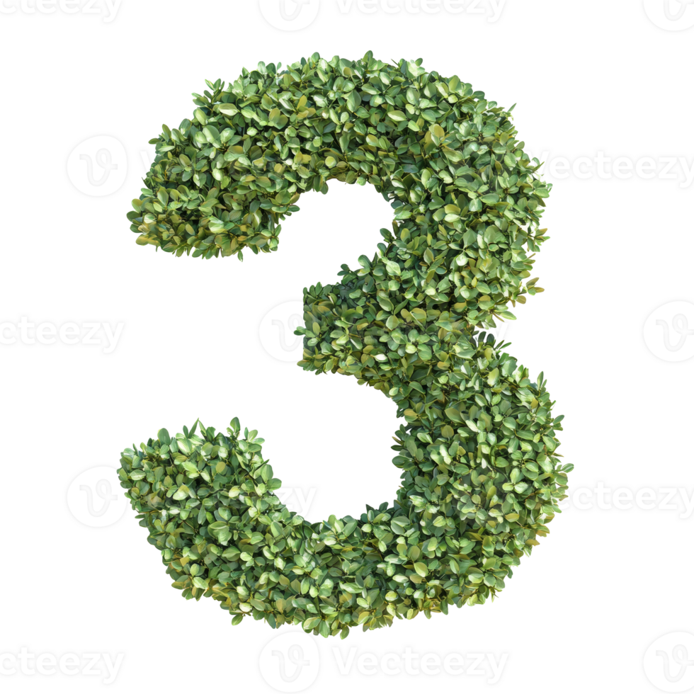 Green leaves form number three on transparent background. png
