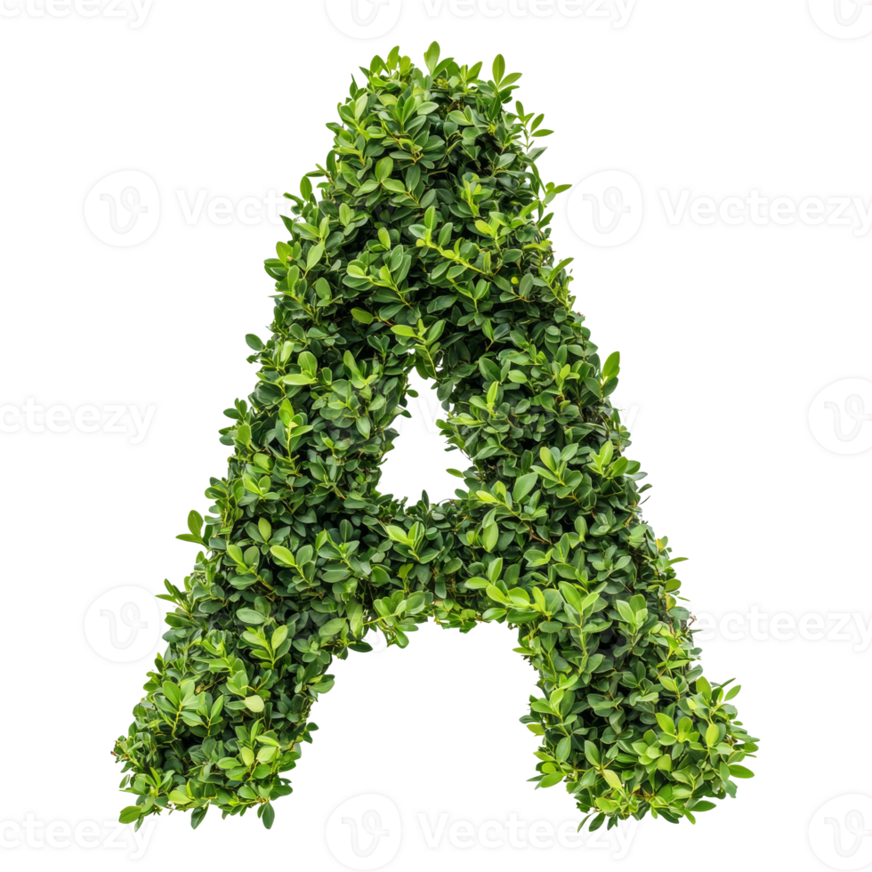 Green leaves form the letter A png