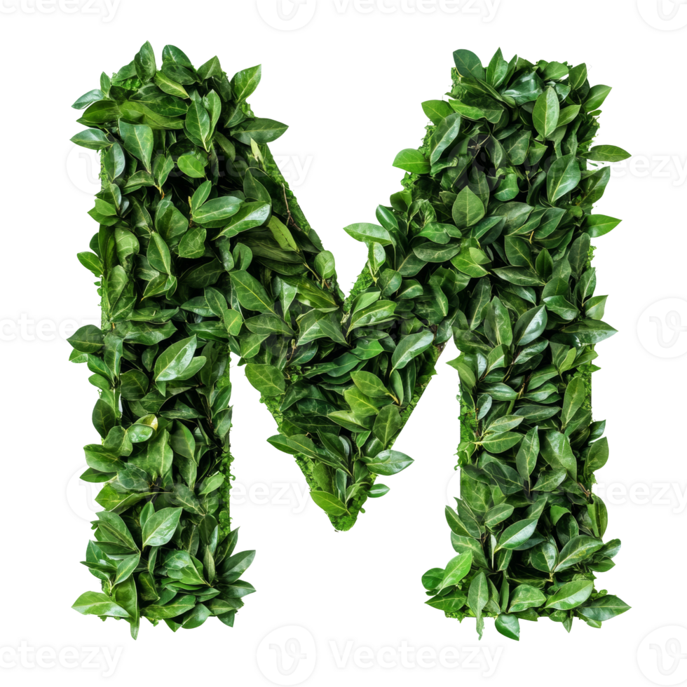 Green leaves form the letter M png