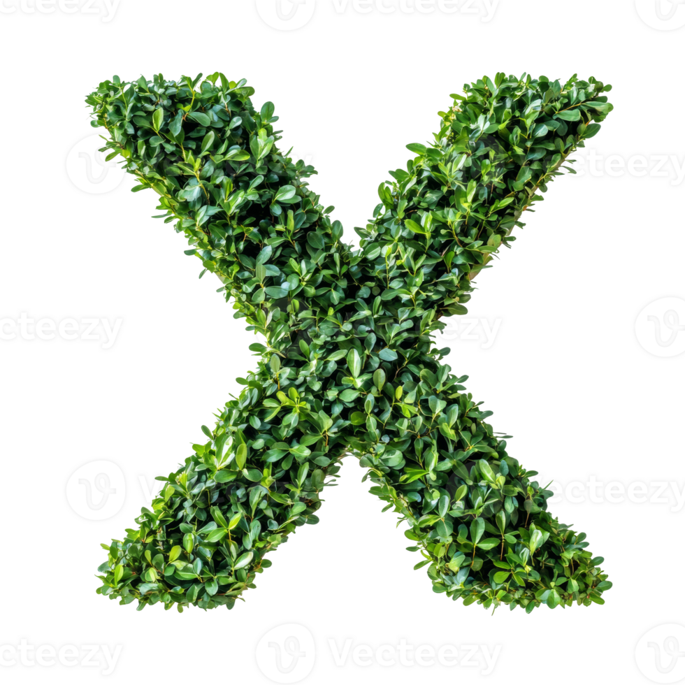 Green leaves form the letter X png