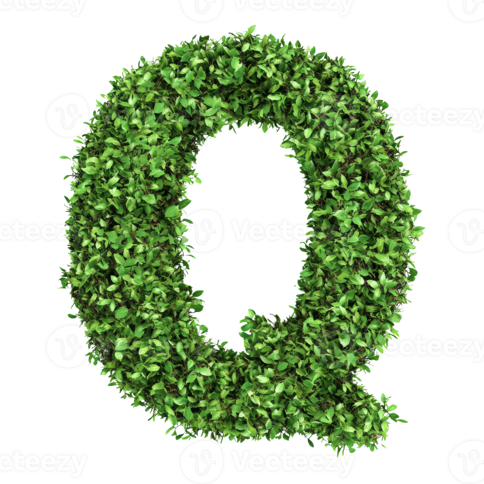 Green leaves form the letter Q png