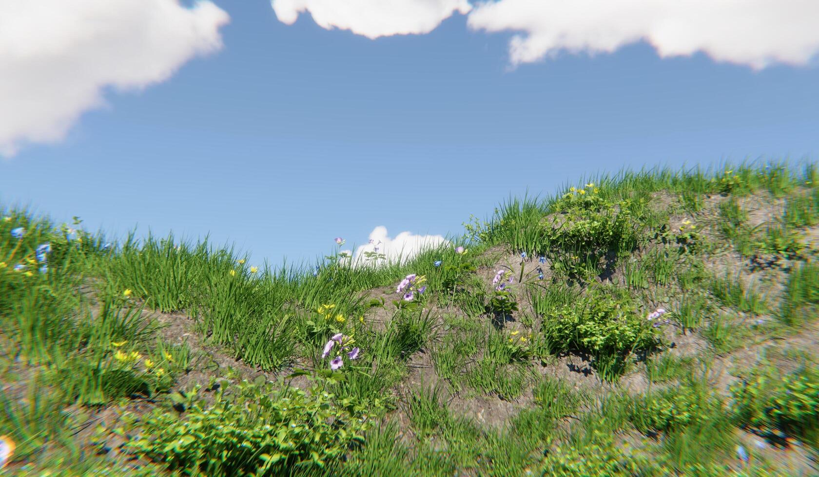 Grassland, lawn, grass, 3D illustration photo