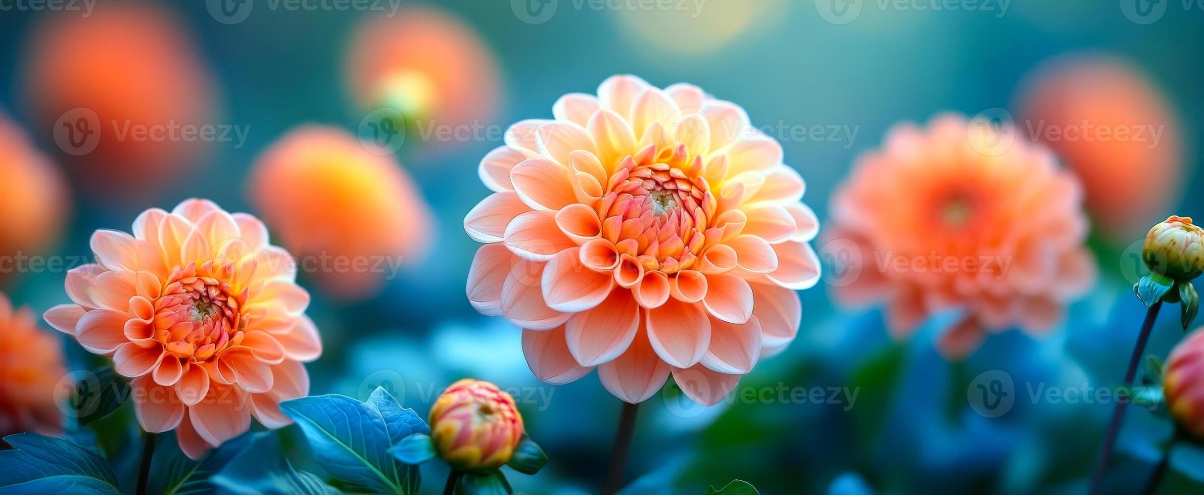 A bouquet of orange flowers with green leaves. The flowers are in a field with a blue sky in the background photo