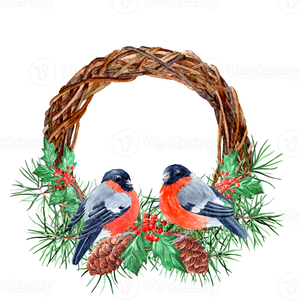 Aquarelle clipart for Christmas design. Wreath with Birds and Holly png