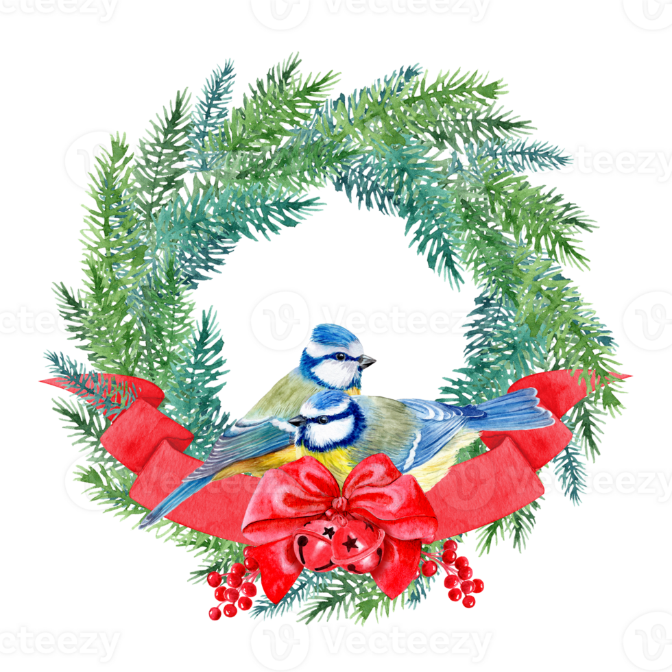 Hand-painted aquarelle picture with titmouse birds. Round wreath with Christmas red decoration for seasonal design png