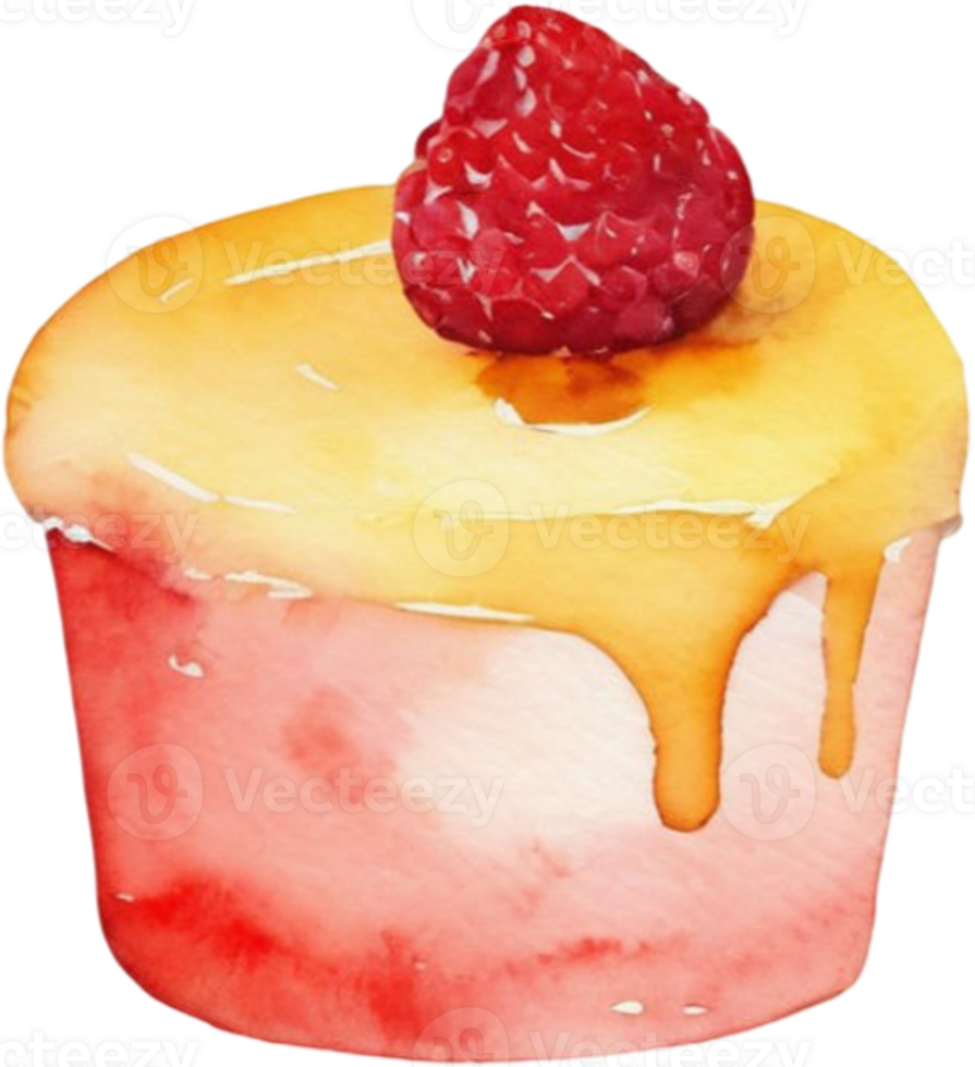 Watercolor cake with raspberry on top png