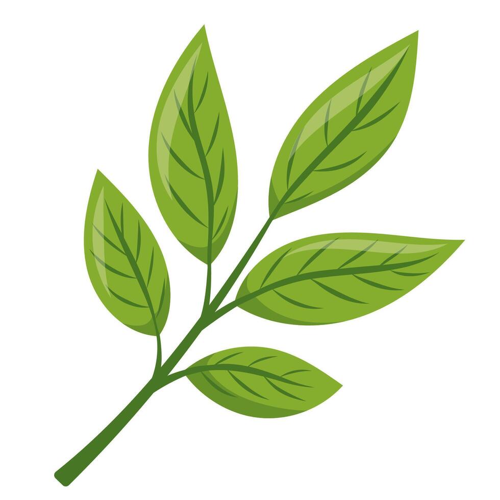 branch with green leaves vector