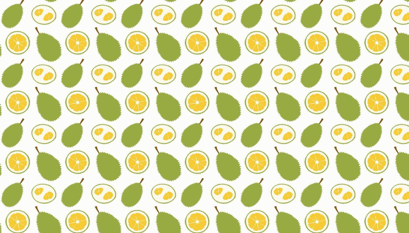 Seamless pattern with durian fruit slices. illustration. vector