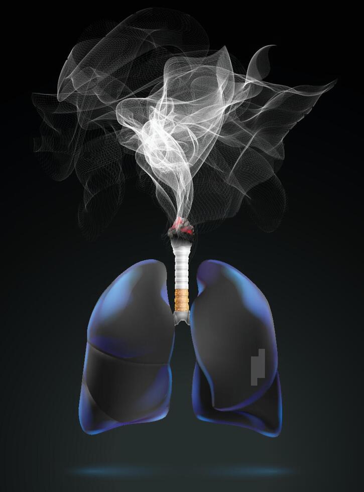 Black human lungs, cigarettes and smoke composited into 3D image on black background, showing the dangers of cigarettes. Used in medicine, advertising, commerce, science and industry. vector