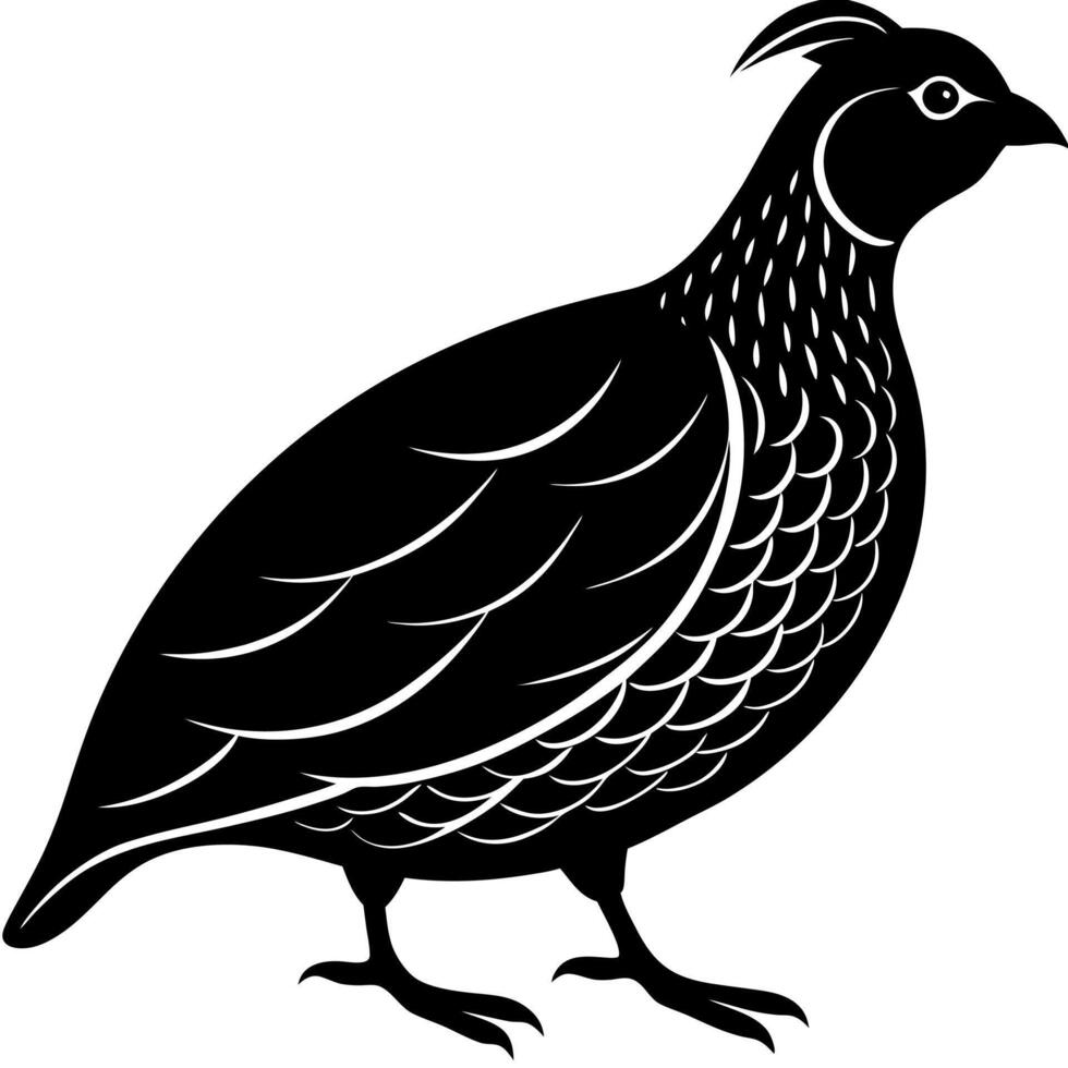Detailed Quail Silhouette Illustration Perfect for Bird and Nature Designs vector
