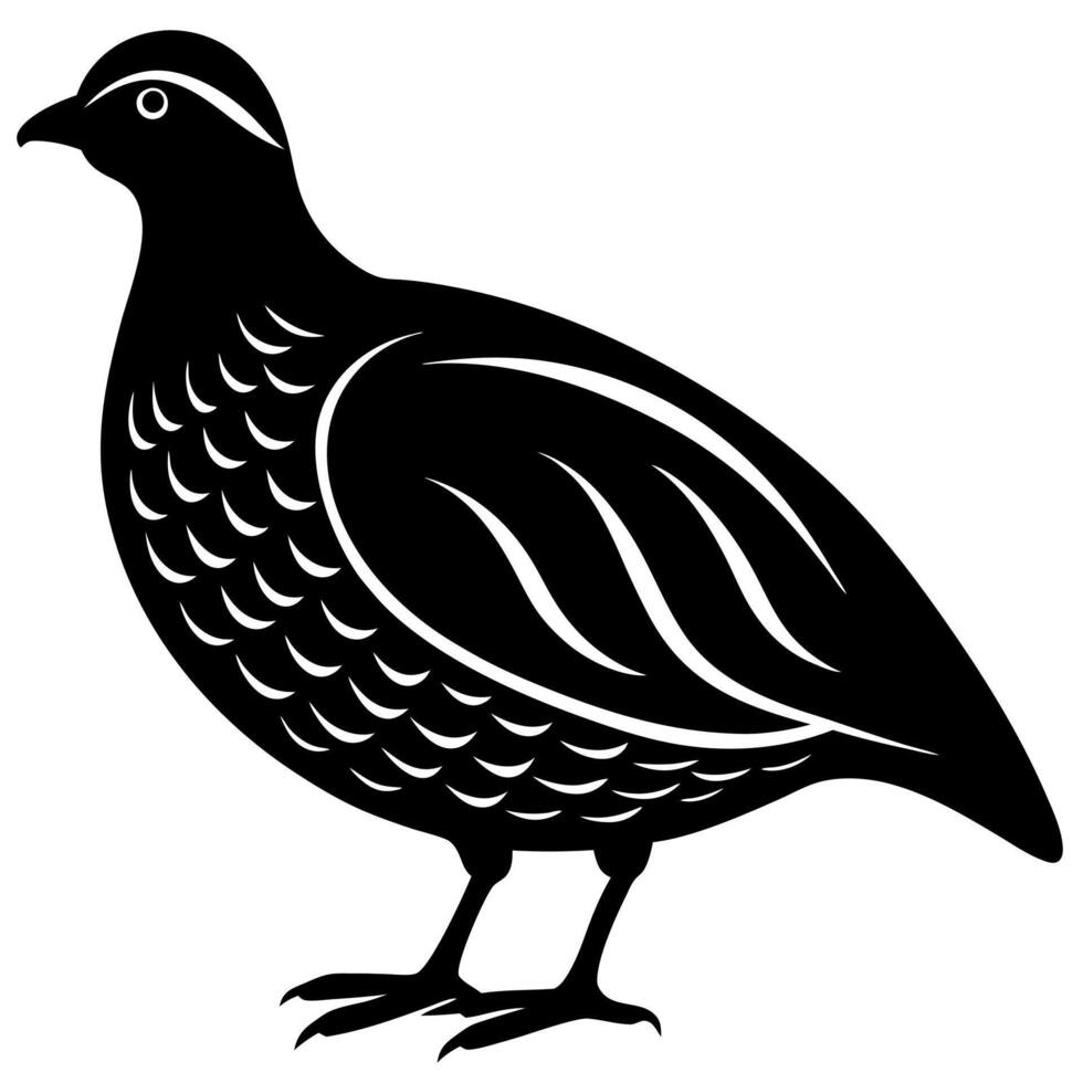 Quail Bird Silhouette for Elegant Nature Illustrations and Artistic Designs vector