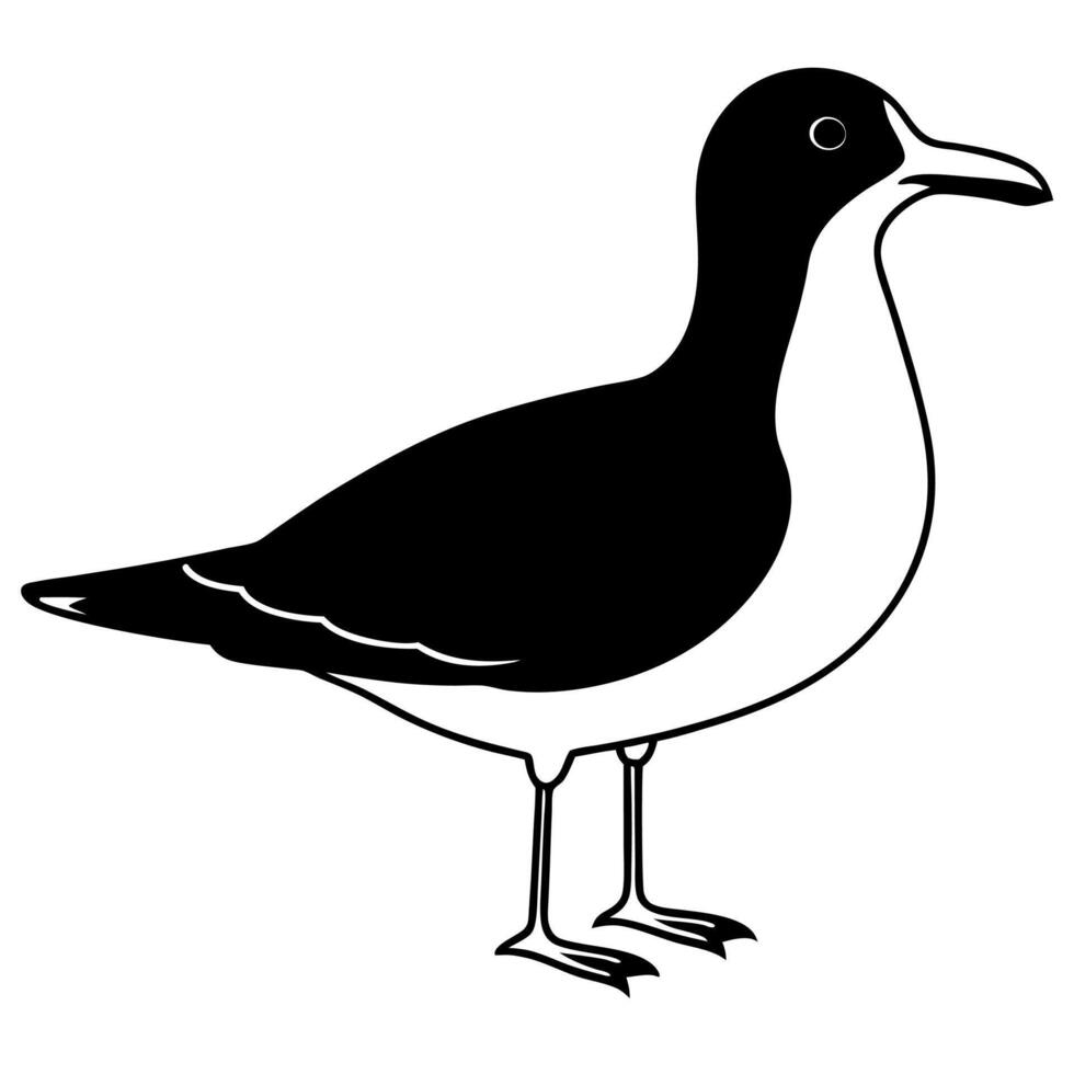 Elegant Bird Silhouette Seagull Illustration for Nature Lovers vector