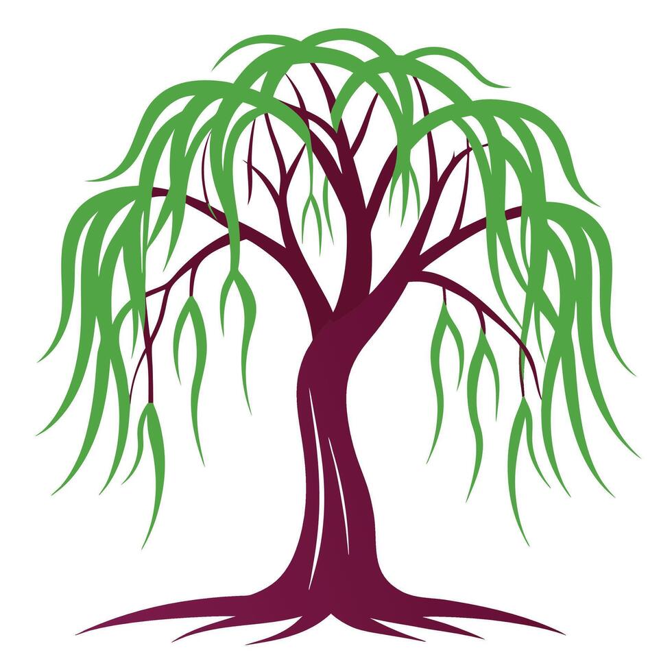 Artistic Willow Tree Design Featuring Delicate Branches and Leaves vector