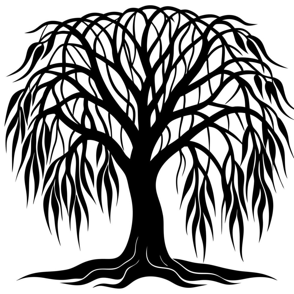 Detailed Willow Tree Clip Art Ideal for Nature and Botanical Designs vector