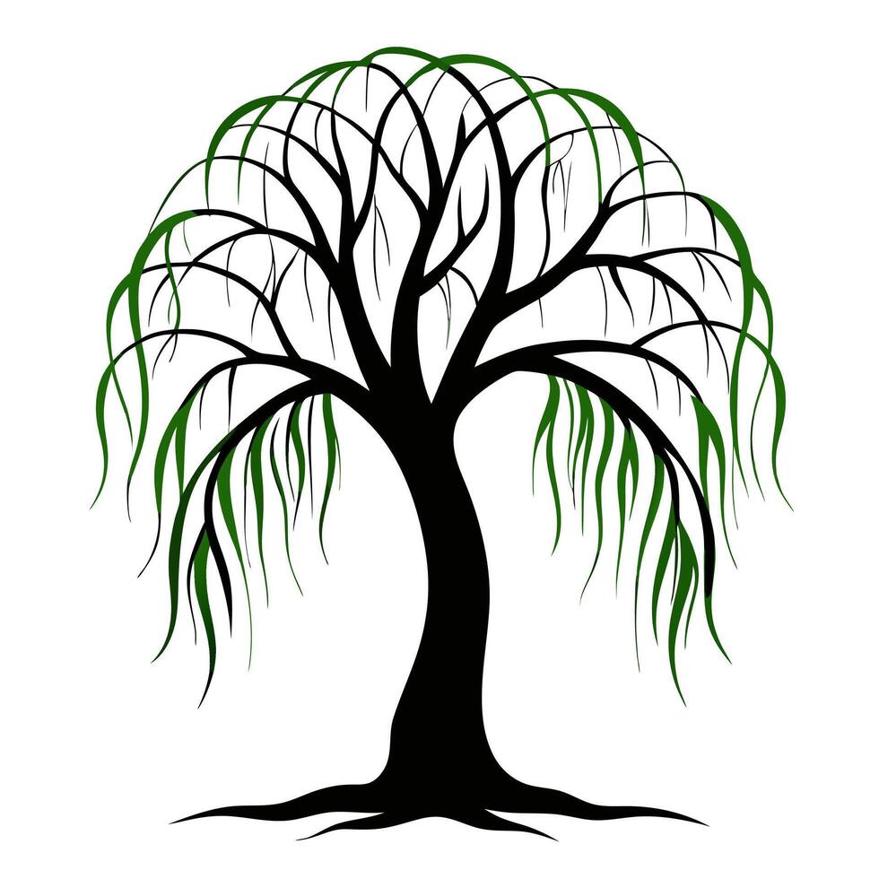Beautiful Willow Tree Clip Art Illustration for Digital Design Projects vector