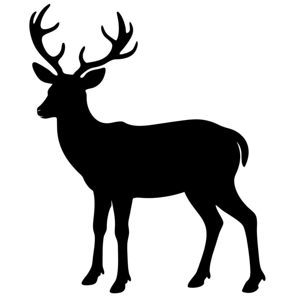 Wild Deer Standing Silhouette in a Beautiful Outdoor Setting vector
