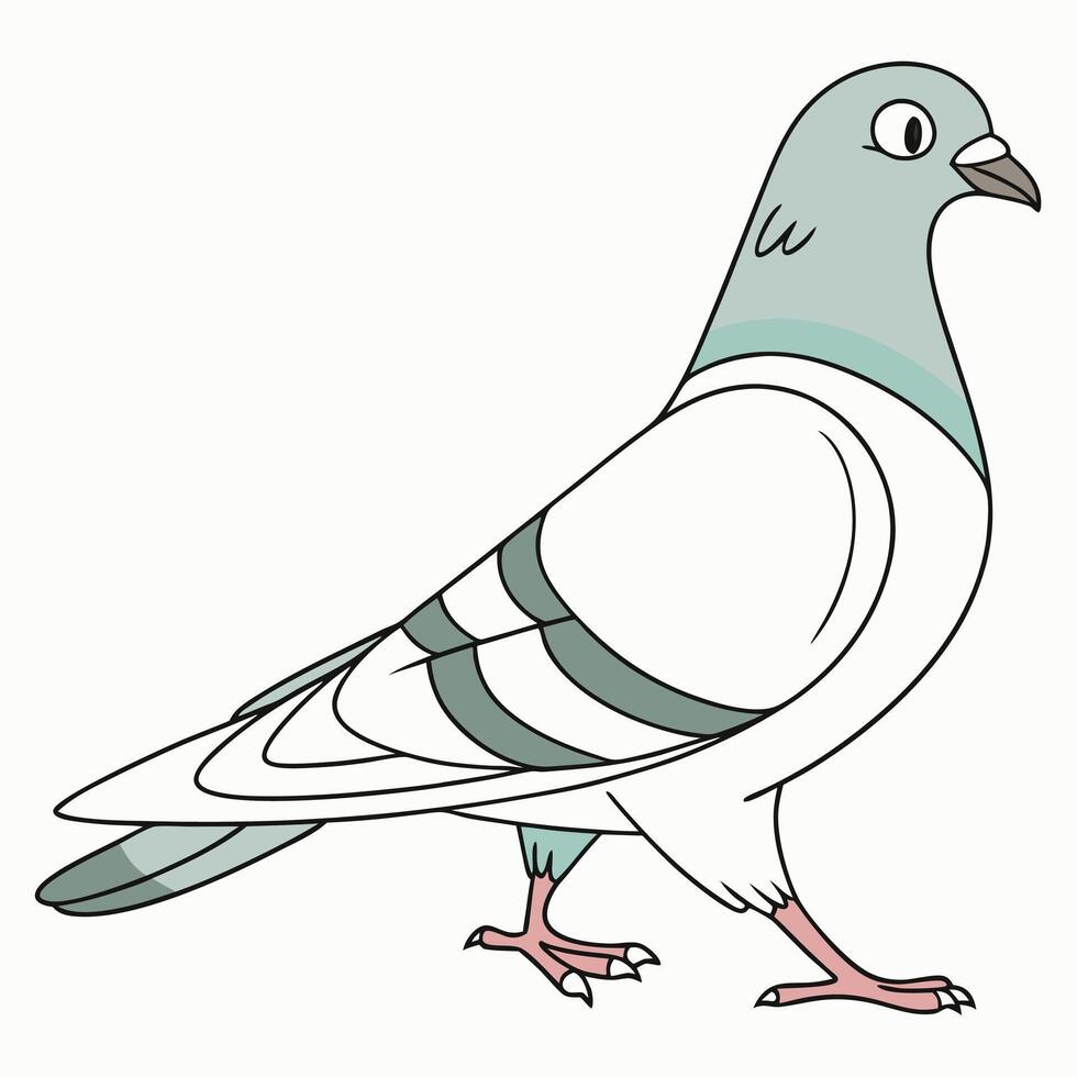 Stunning Pigeon Drawing for Graphic Design and Creative Projects vector