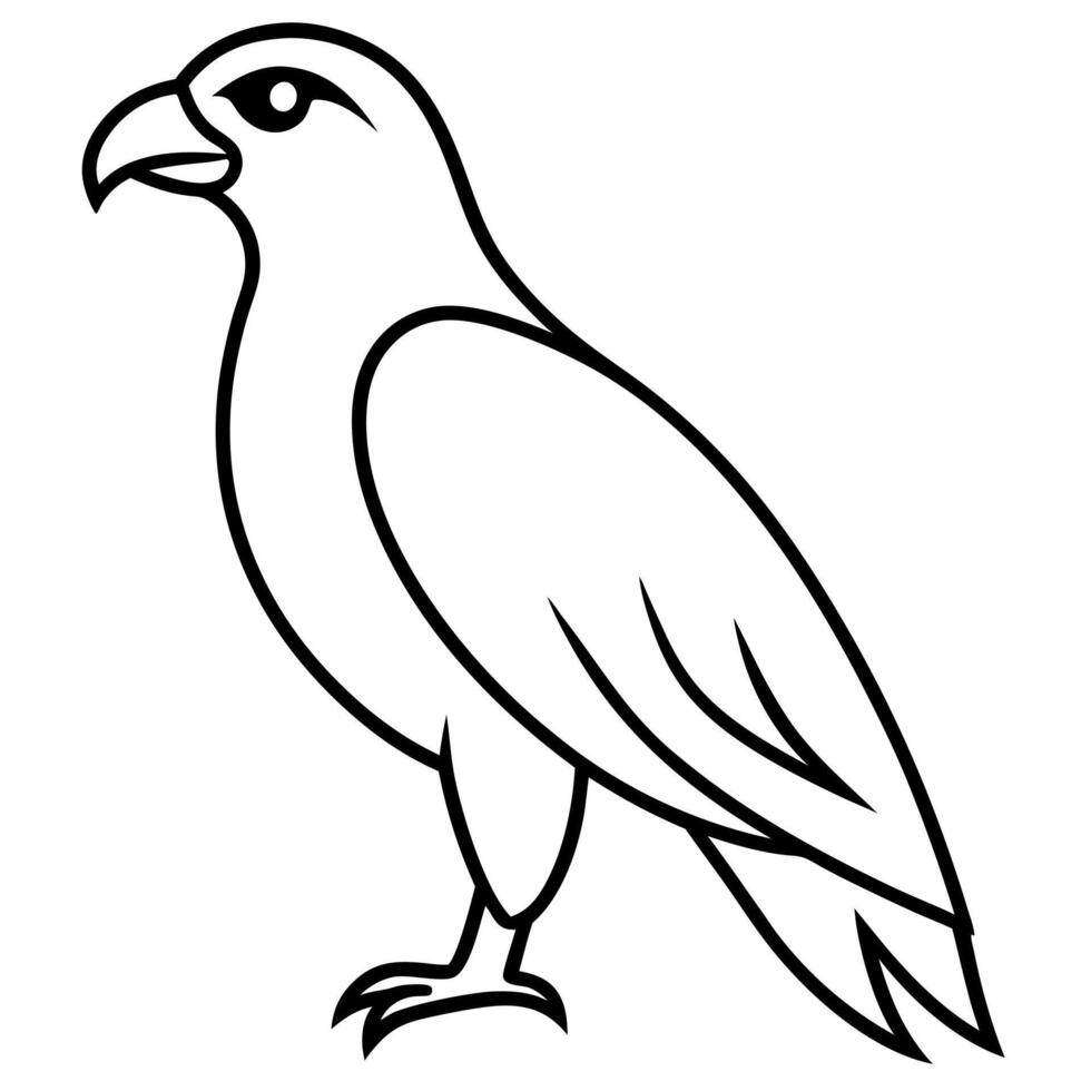 Detailed Hawk Line Art Illustration for Bird Lovers and Artists vector