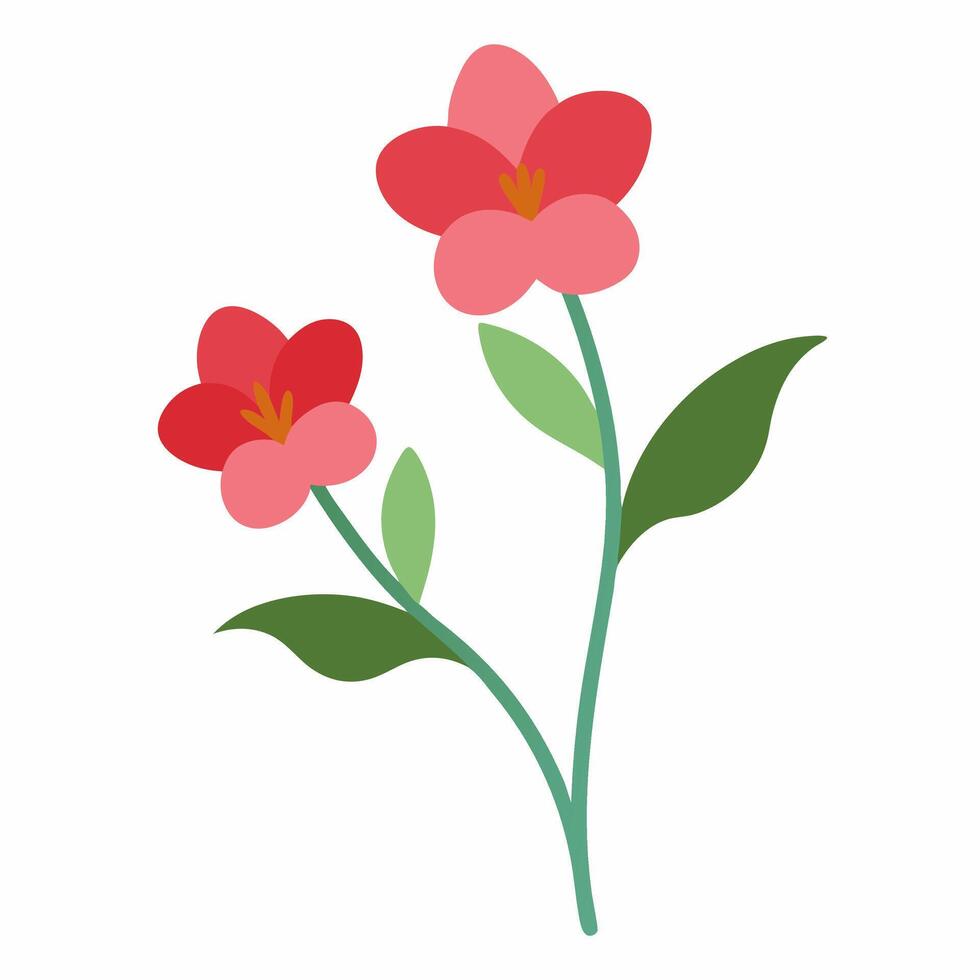 Elegant Two Leschenaultia Flower Hand-Drawn Design vector