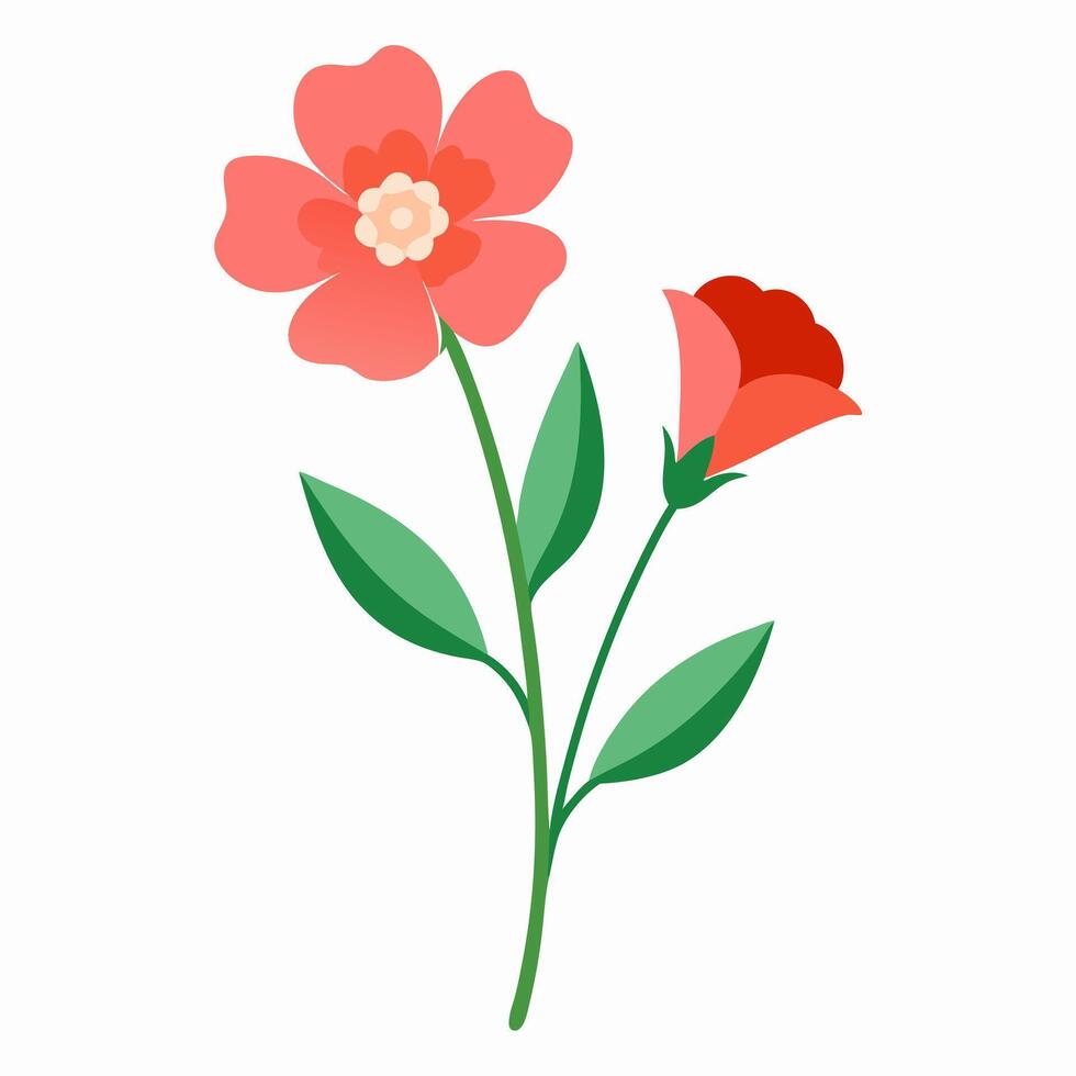 Two Leschenaultia Flower Illustration for Digital Artwork vector