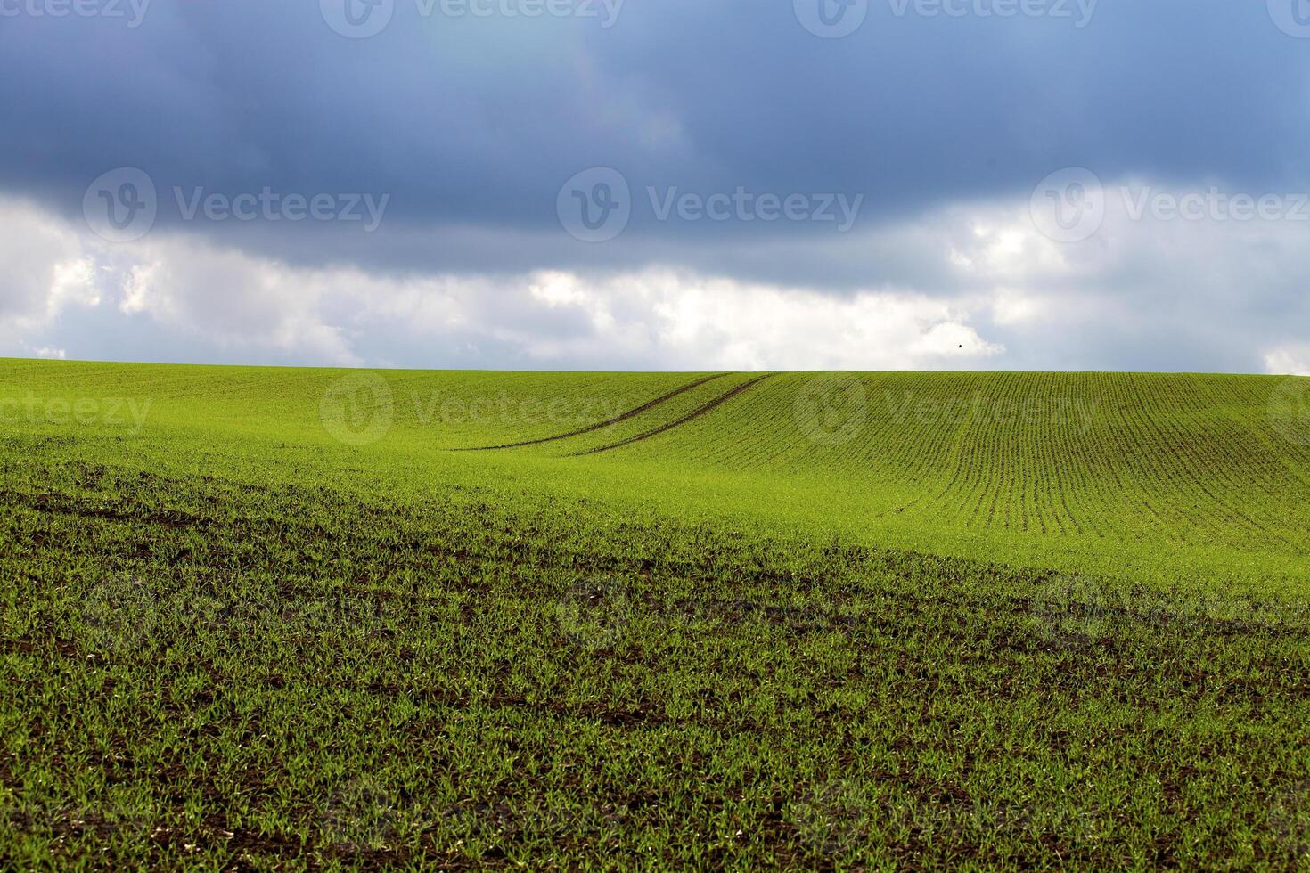 Green field under a cloudy sky. Concept of the vastness and simplicity of rural landscapes. Background. photo