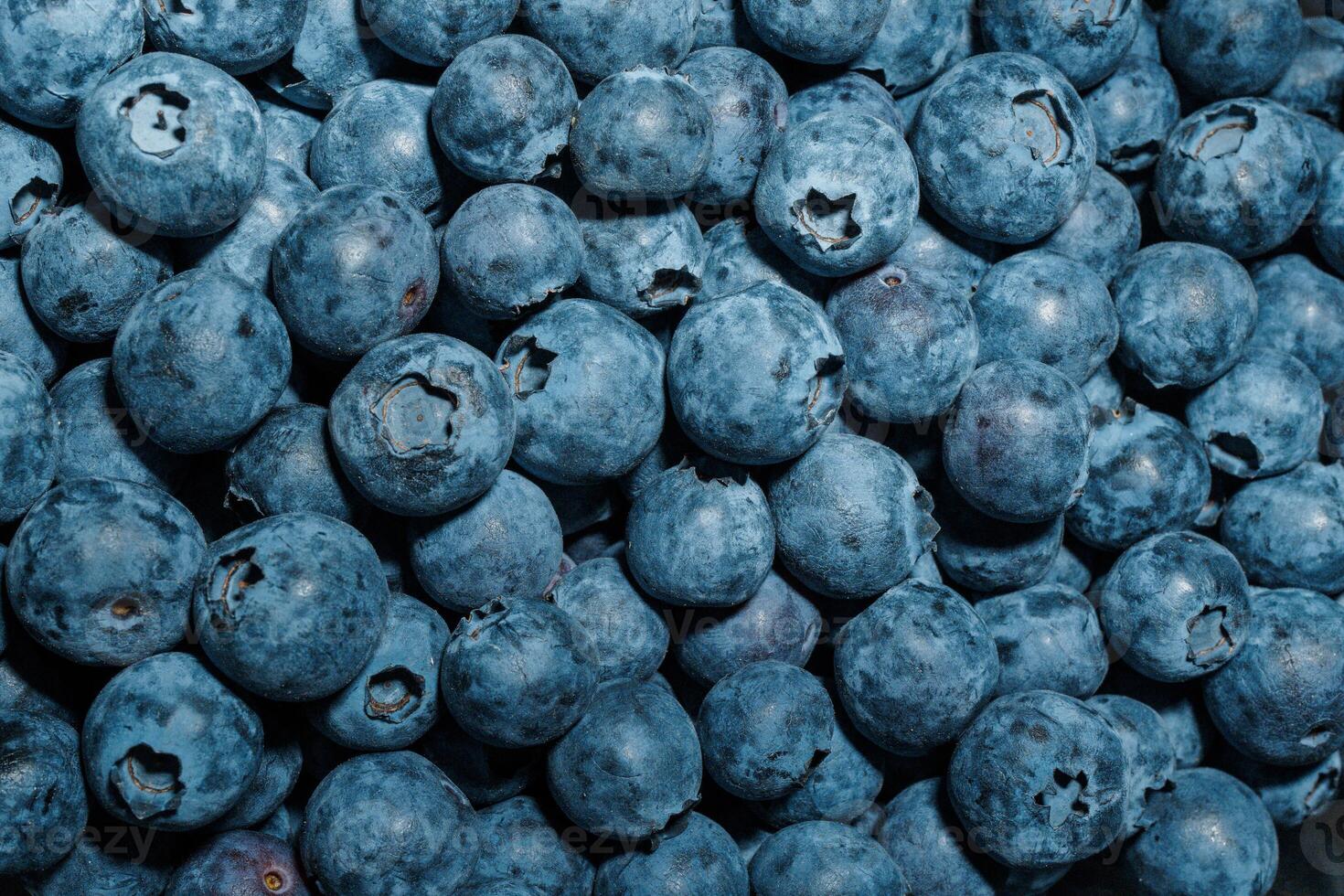 Macro photography, background of ripe juicy large blueberries. Blueberry texture, berry background. photo