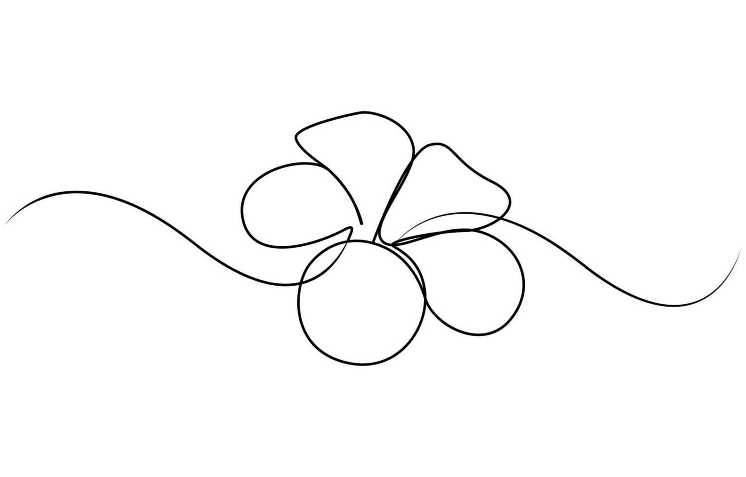 Frangipani blossom with petals for floral tattoo in simple linear style vector