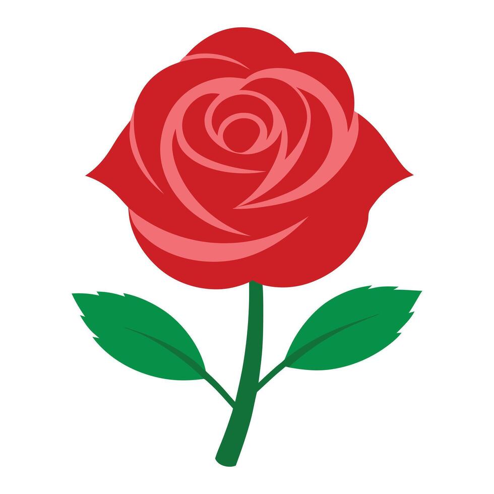 a red rose with green leaves on a white background vector