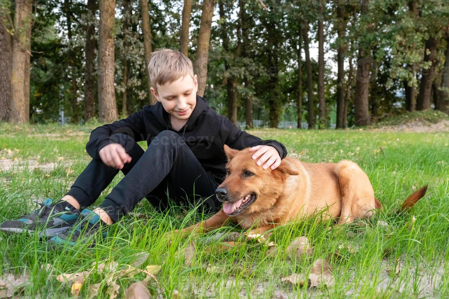 Young Boy Playing with Dog in Green Park photo