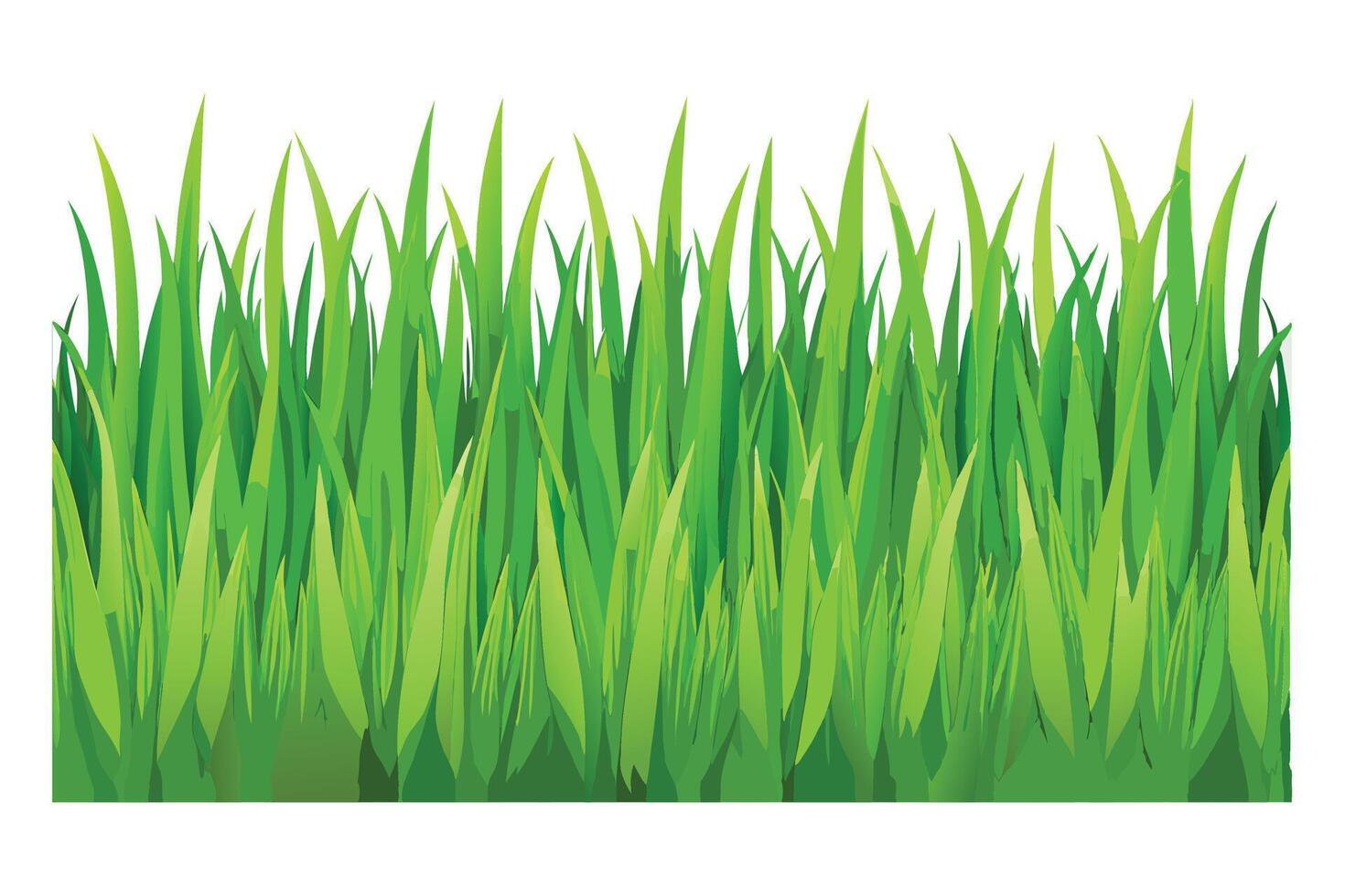 green grass illustration vector