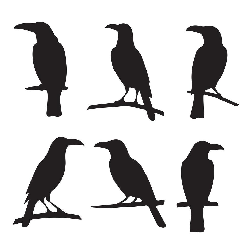 A sleek crow bird silhouette, showcasing its sharp beak and outstretched wings, symbolizing mystery, intelligence, and adaptability. vector