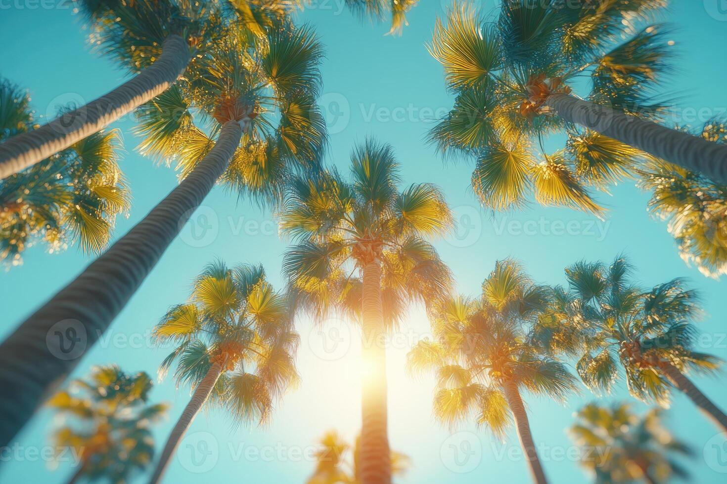 Tropical palm trees swaying in the gentle breeze under a sunny sky photo
