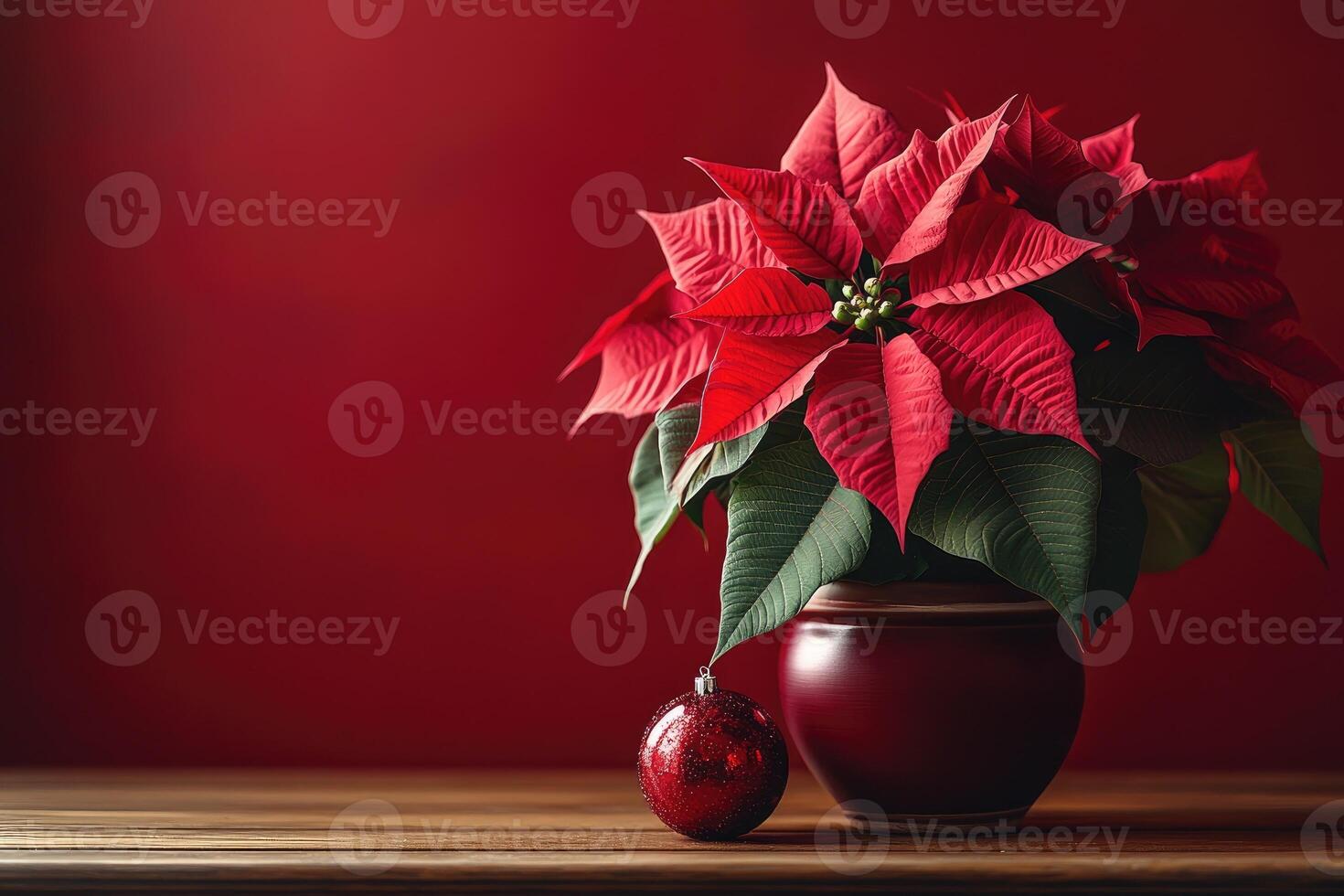 Christmas poinsettia and red glitter ball creating festive atmosphere photo