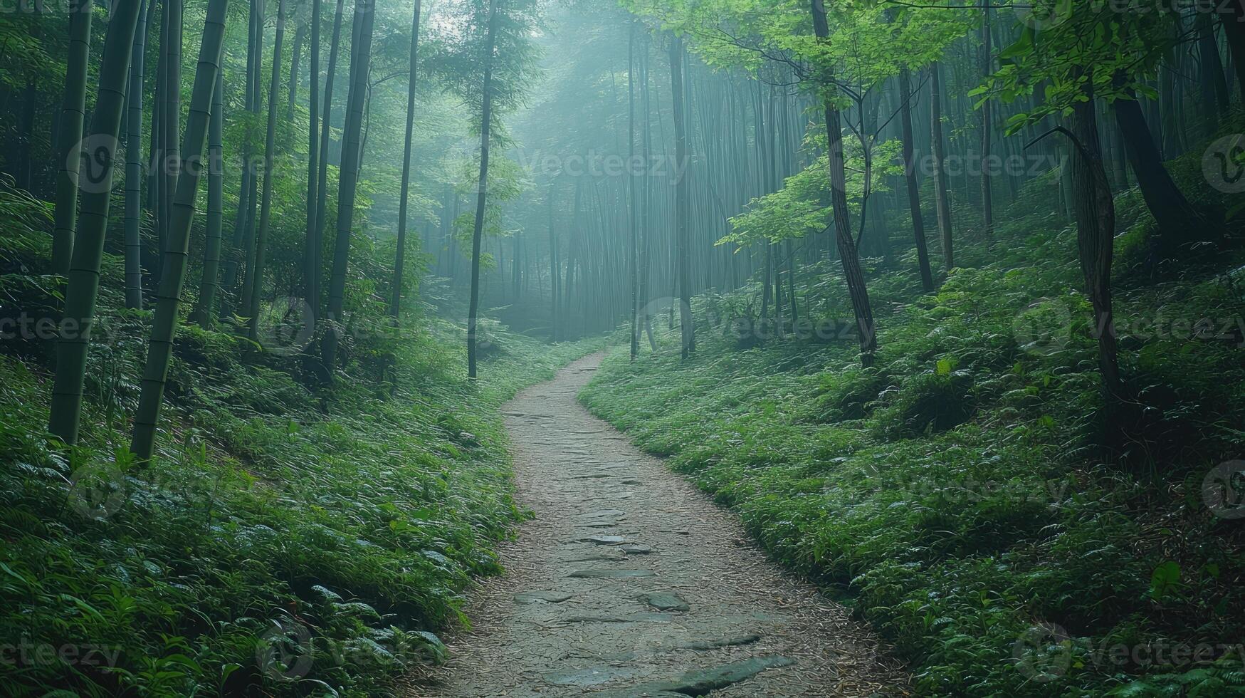 Winding stone path leading through a misty bamboo forest photo