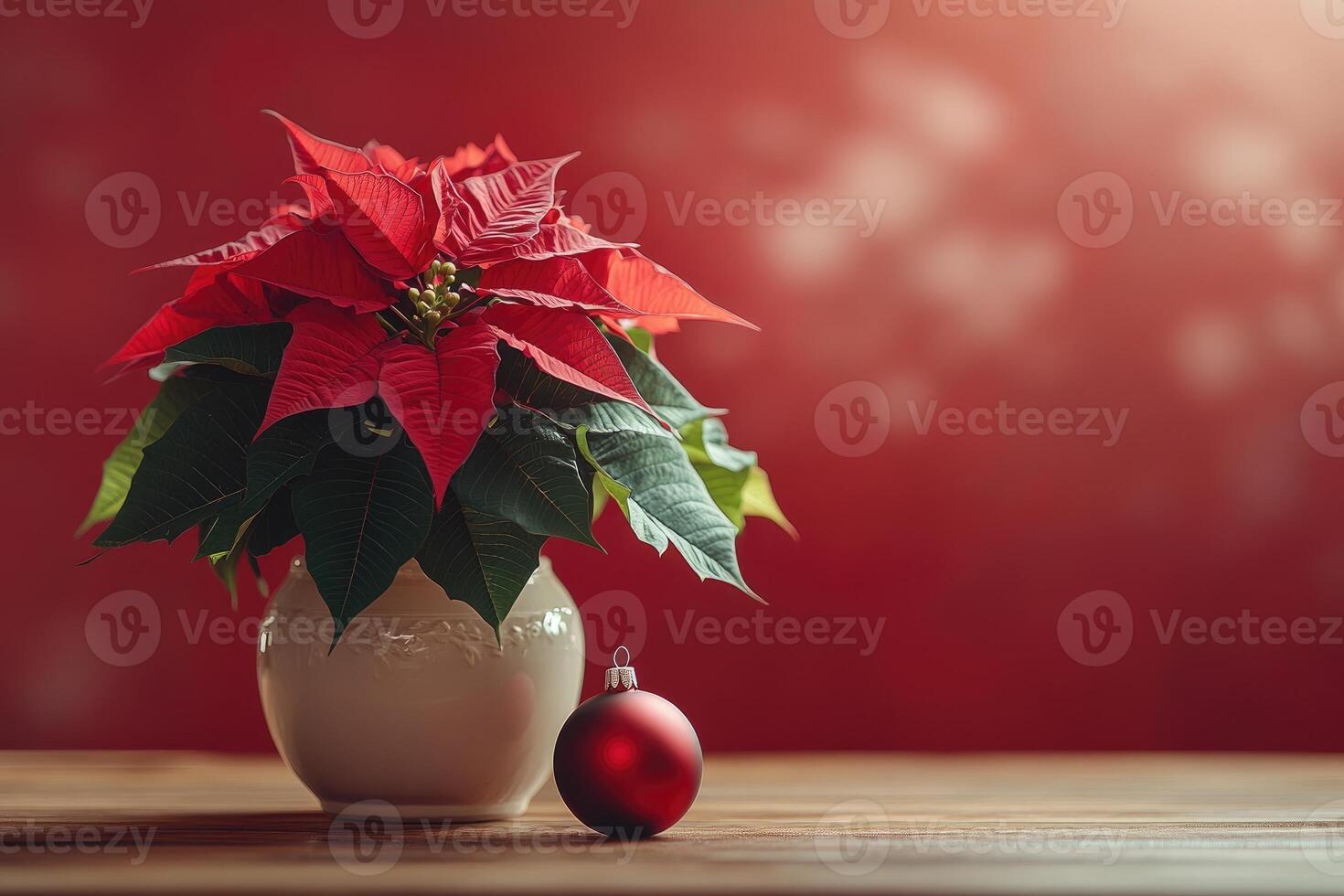 Christmas poinsettia and red bauble creating festive atmosphere photo