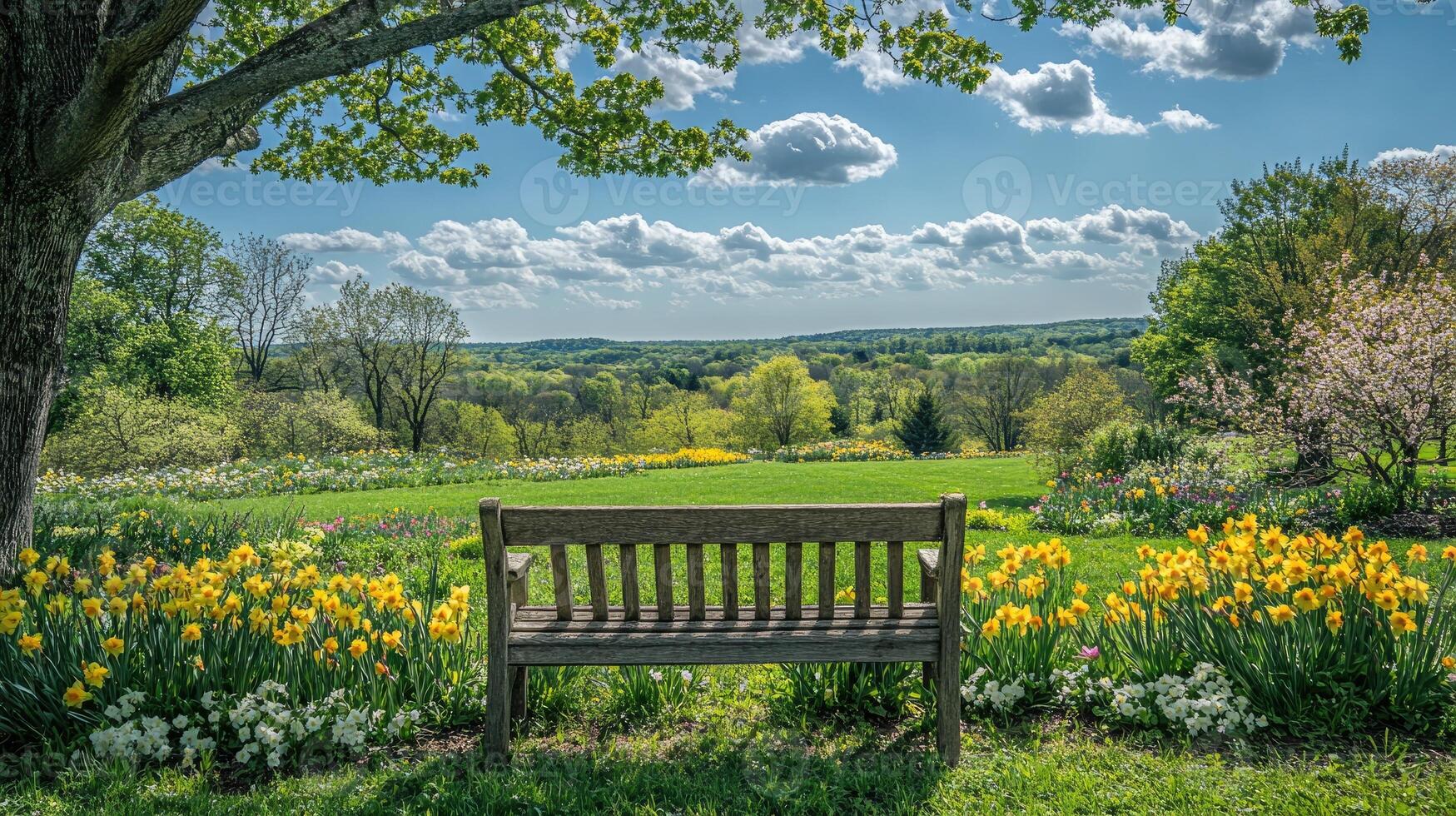 Relaxing park bench overlooking scenic valley in spring photo