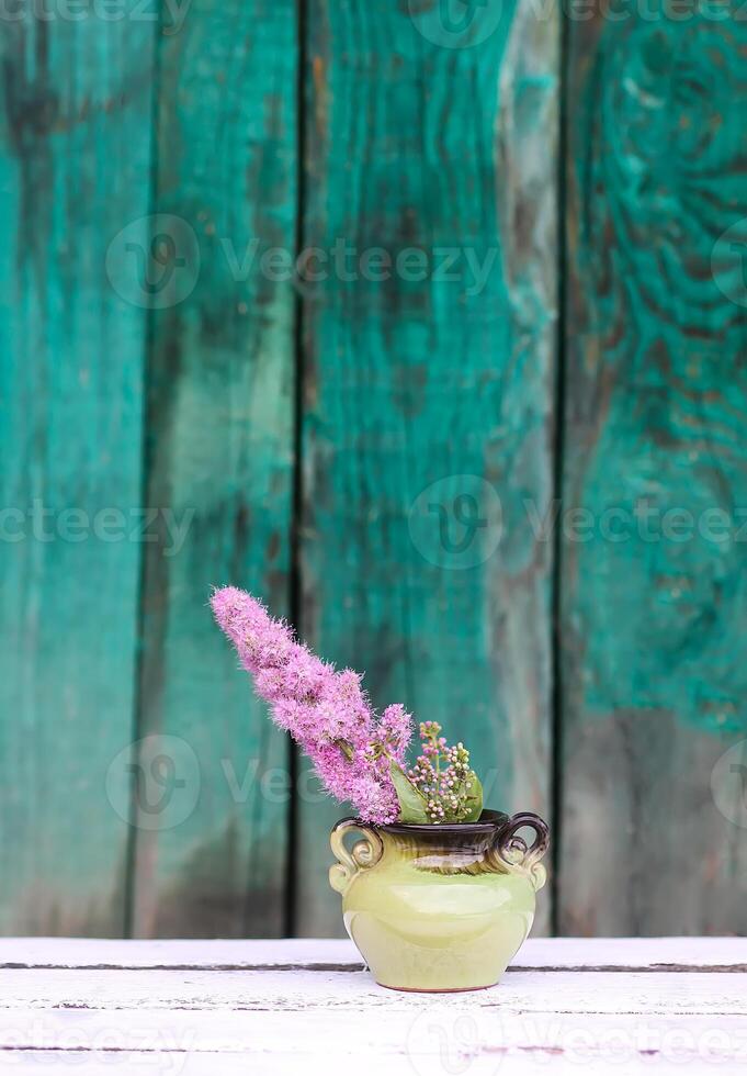 Astilbe flower in ceramic vase outdoors photo