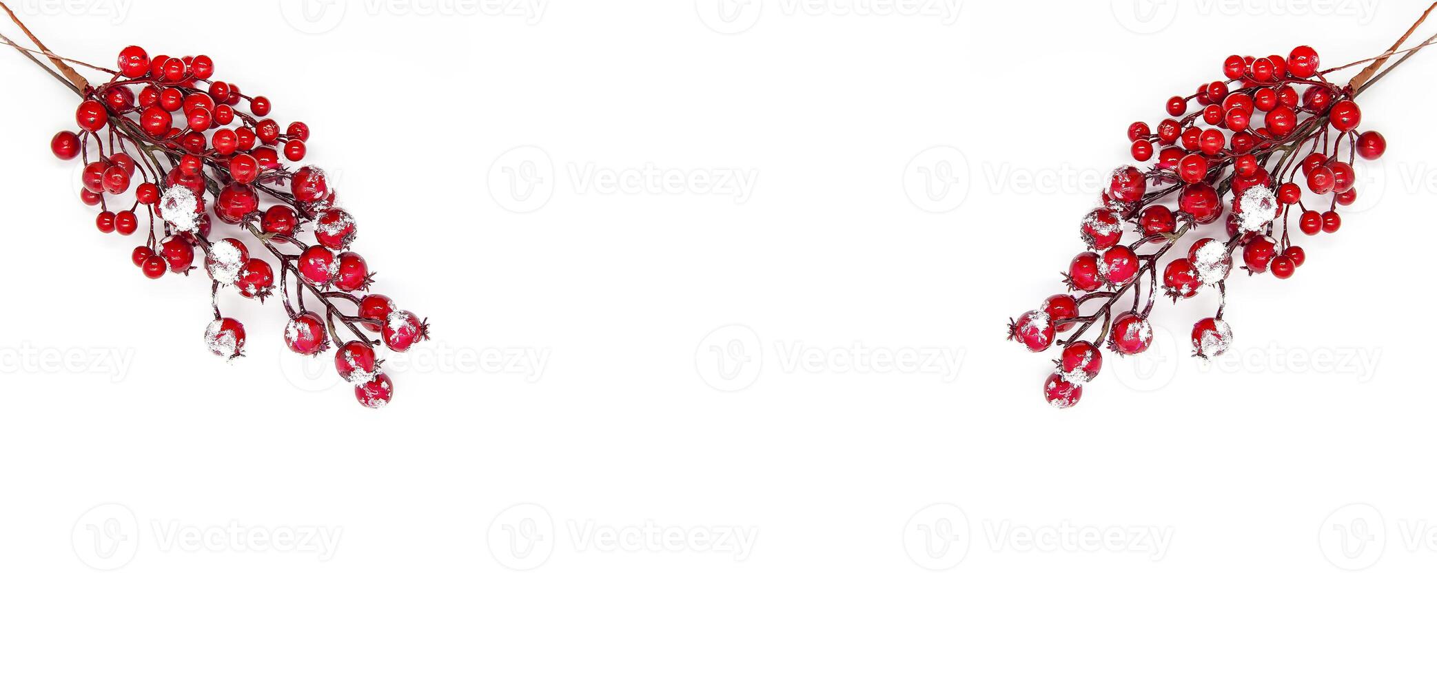 Festive New Year or Christmas background with red holly plant berries in snow photo